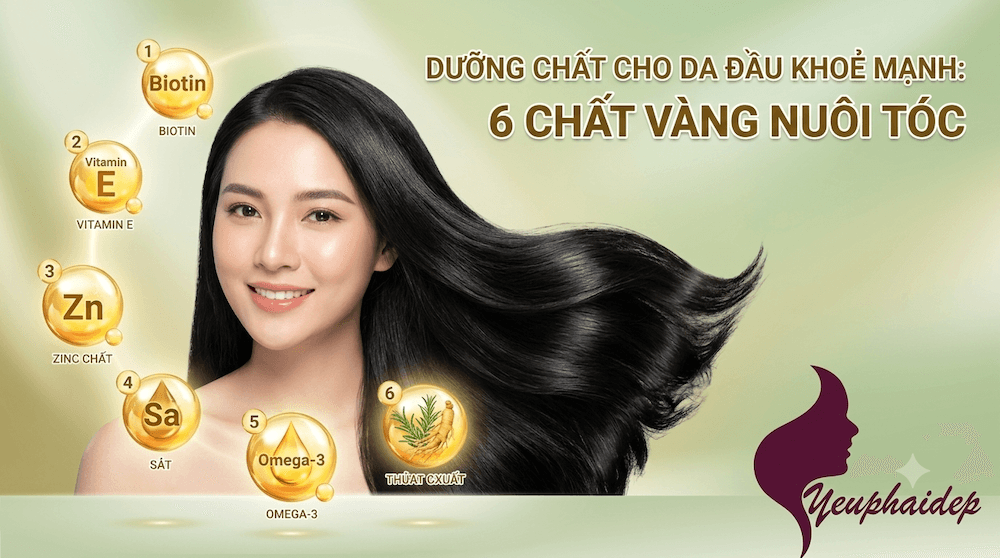 Dưỡng Chất Cho Da Đầu Khoẻ Mạnh: 6 Chất Vàng Nuôi Tóc